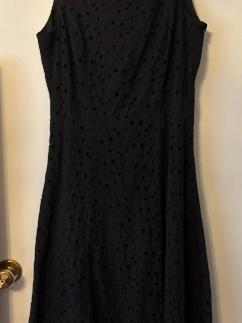 Paniz Black Eyelet Sleeveless A-Line Dress